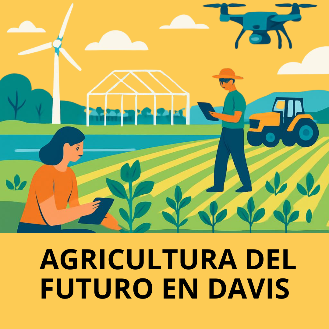 Agricultura en Davis